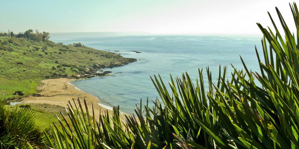BELL&#8217;ITALIA.<br> &#8220;Costa del Vino. Nella Sicilia sud-occidentale, il mare selvaggio di Porto Palo di Menfi, premiato con la Bandiera Blu, abbracciato da 6.500 ettari di vigne: un&#8217;oasi di agricoltura di qualità strappata alla salsedine e favorita dal clima&#8221;